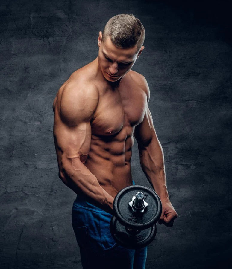 Muscle Builder