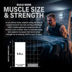 MUSCLETECH Platinum 100% Creatine - 250 gram Unflavoured – 83 Servings