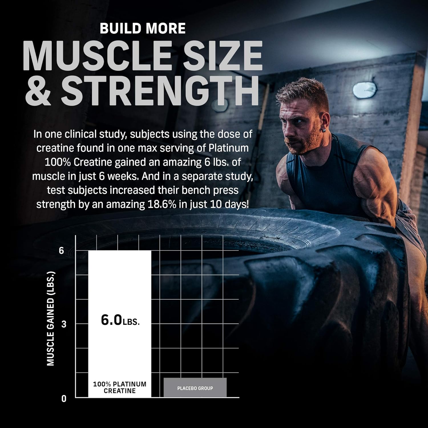 MUSCLETECH Platinum 100% Creatine - 250 gram Unflavoured – 83 Servings