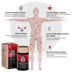 Korean Red Ginseng Extract Gel 120g for Energy