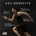 Muscletech Platinum MultiVitamin - 60 Tabs