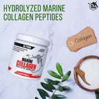 Marine Collagen Peptides Supplement for Skin & Joint Health