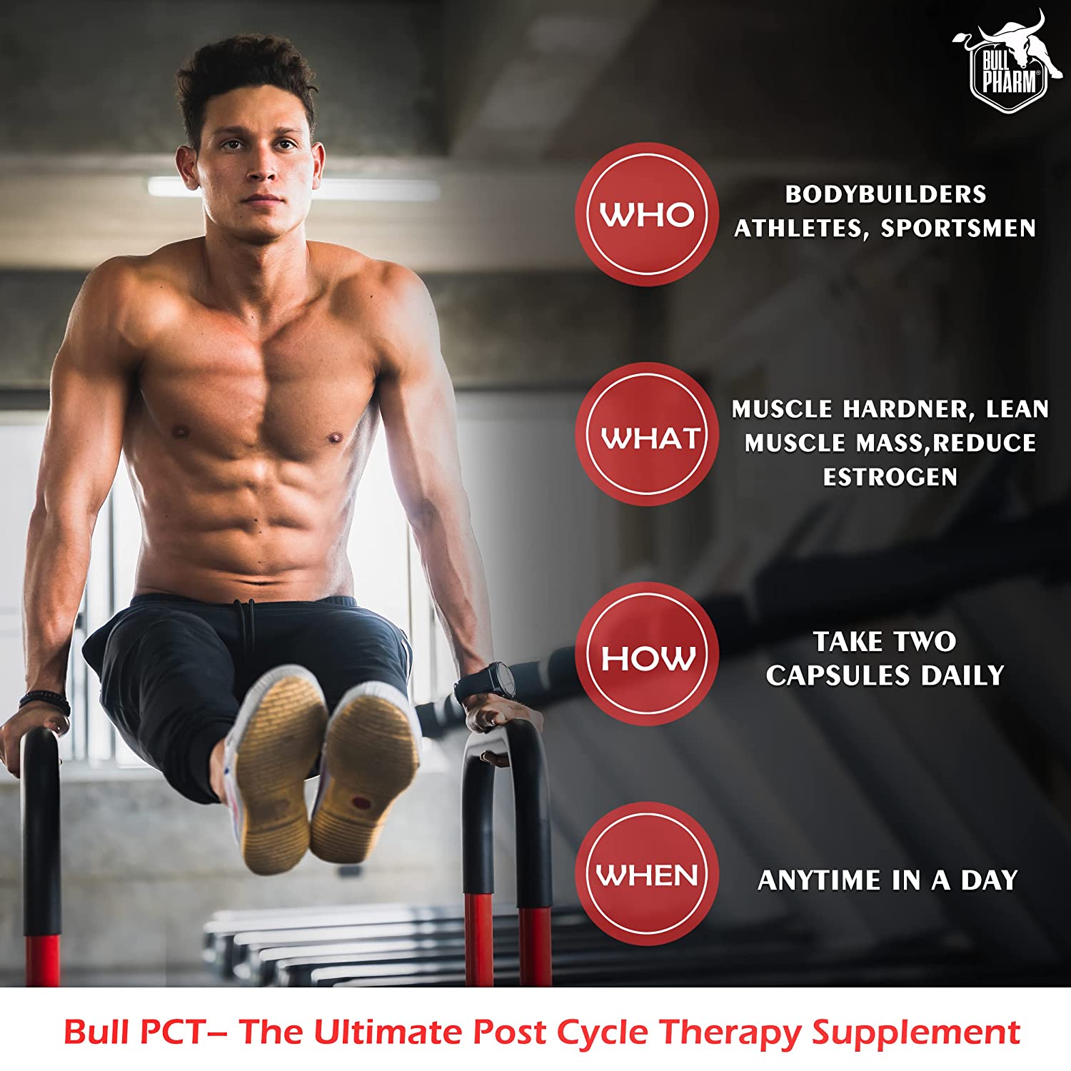 Bull PCT Supplement – BullPharm Bull PCT