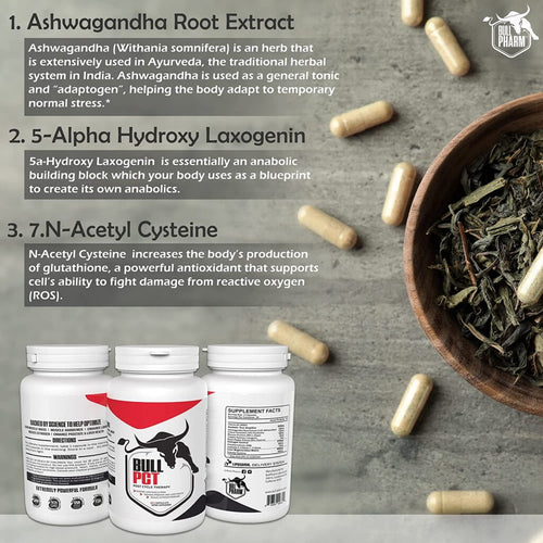 Bull PCT Supplement – BullPharm Bull PCT
