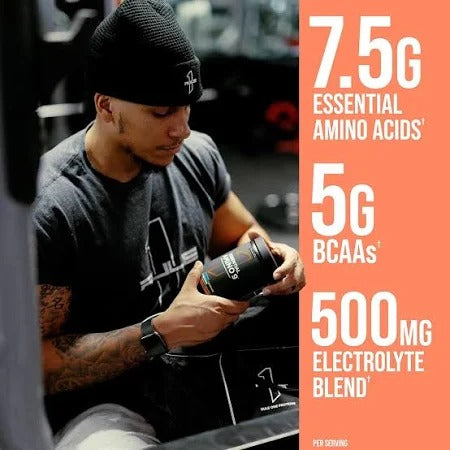 Rule1 Essential Amino 9