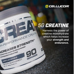 Cellucor Creatine Monohydrate – 90 Servings Strength Boost
