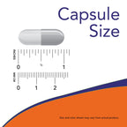 Glucosamine Chondroitin MSM – Joint Support Formula