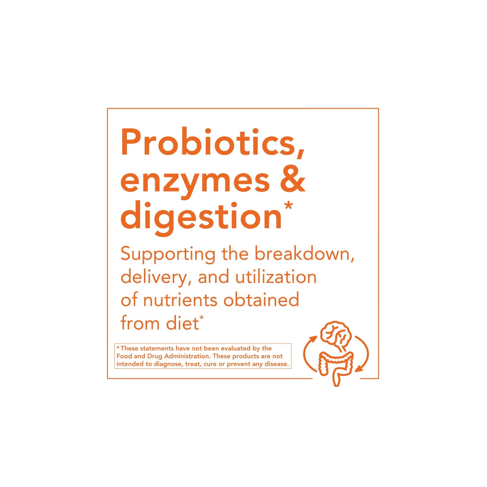 NOW Probiotic-10 25 Billion CFU – Digestive & Gut Health Support