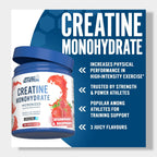 Applied Nutrition Creatine Monohydrate Micronized 250g