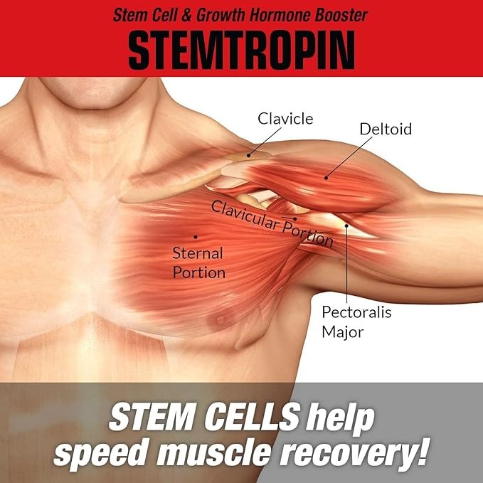 Muscle Meds STEMTROPIN - 60 Capsules