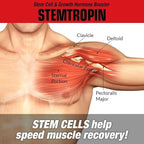 Muscle Meds STEMTROPIN - 60 Capsules
