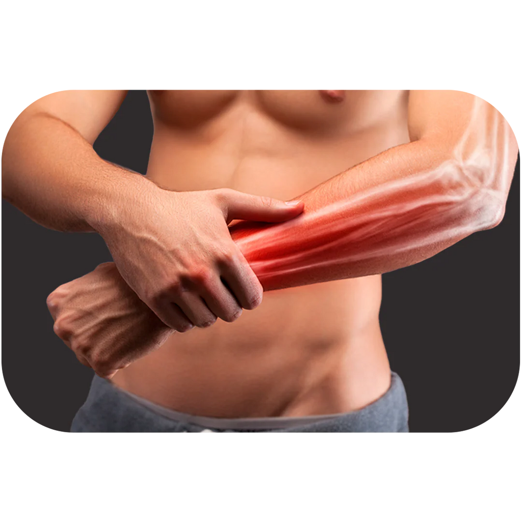 Muscle Meds STEMTROPIN - 60 Capsules