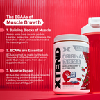 SciVation XTEND ORIGINAL 7g BCAA