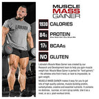 LABRAD Mass Gainer Chocolate 3kg for Weight Gain