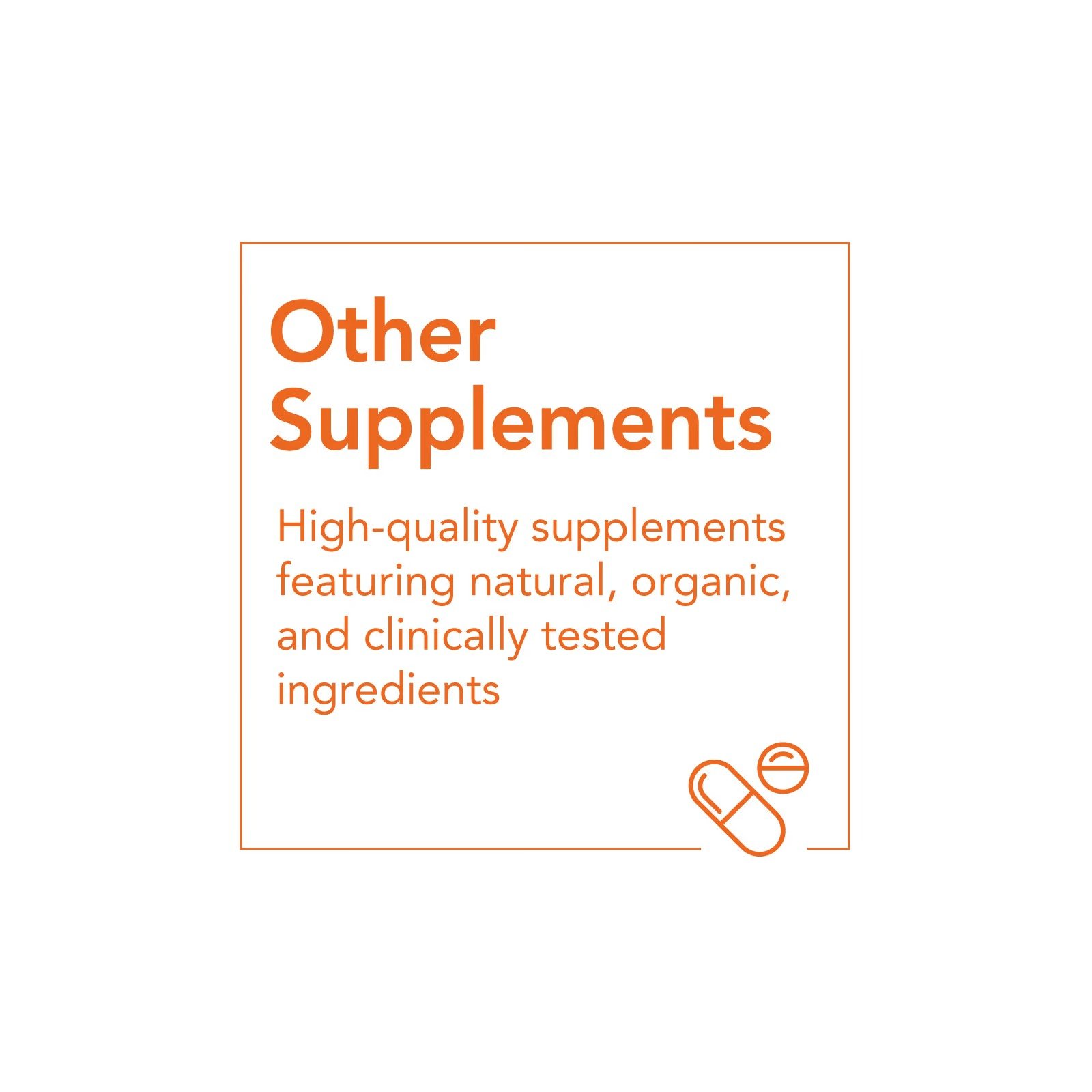 WhatsApp Image 2025-11-02 at 2.28.44 PM